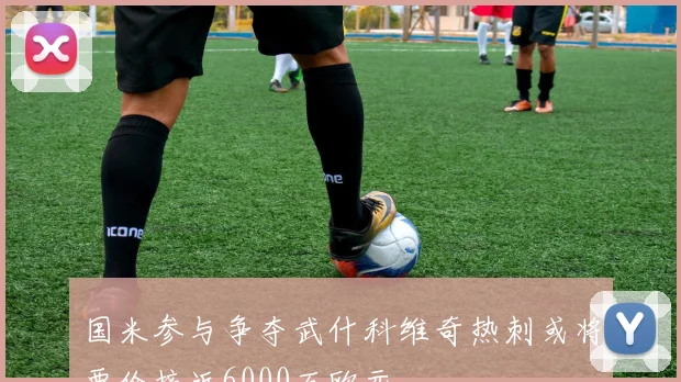 国米参与争夺武什科维奇热刺或将要价接近6000万欧元